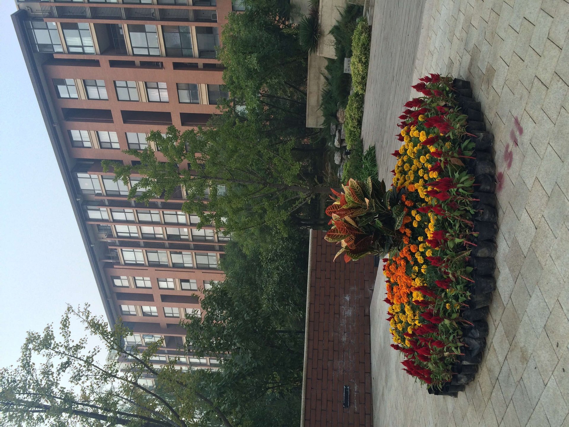 8哩岛 - Beijing property leasing for expats