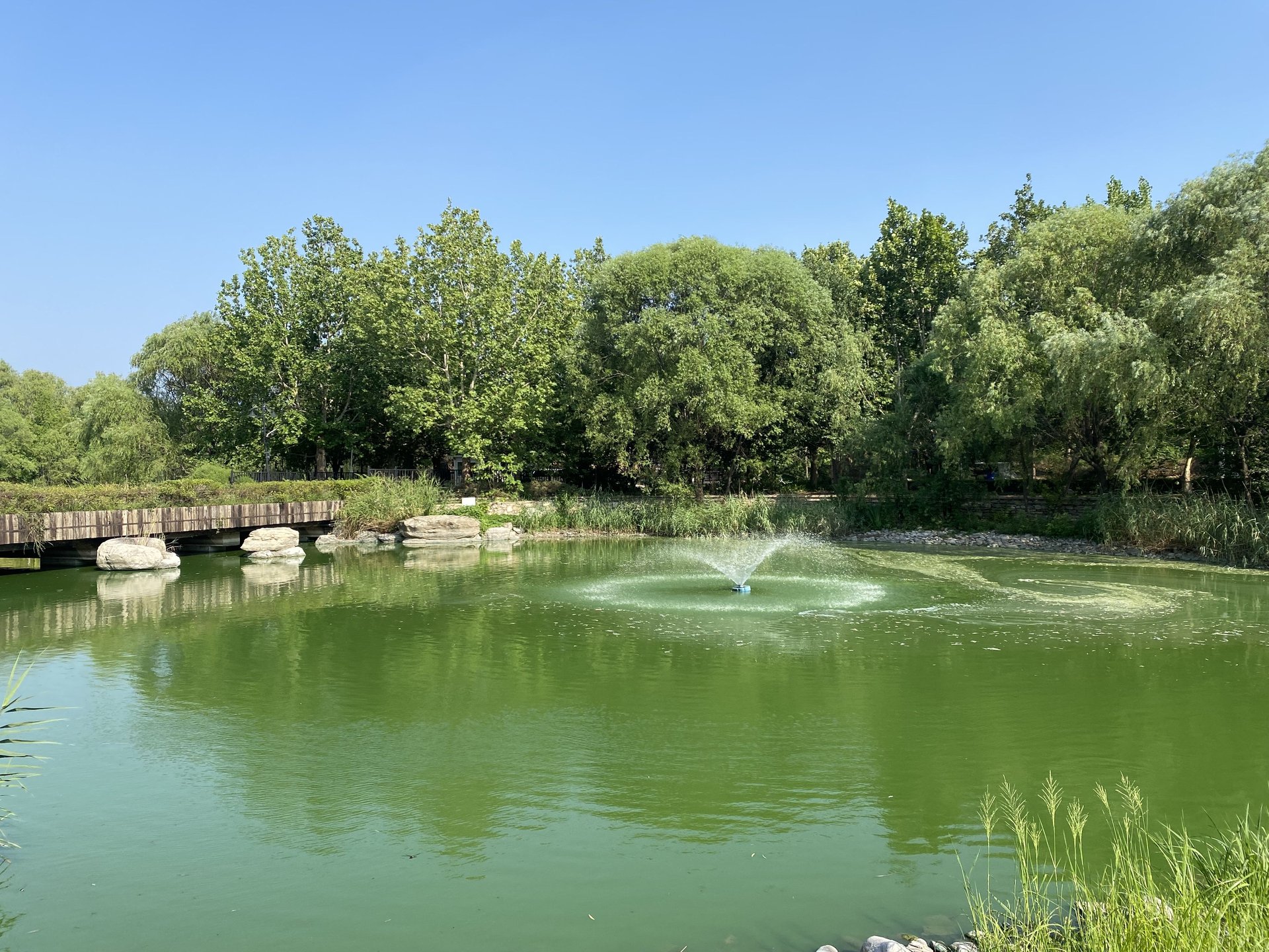 CBD国际高尔夫别墅 - Beijing property leasing for expats