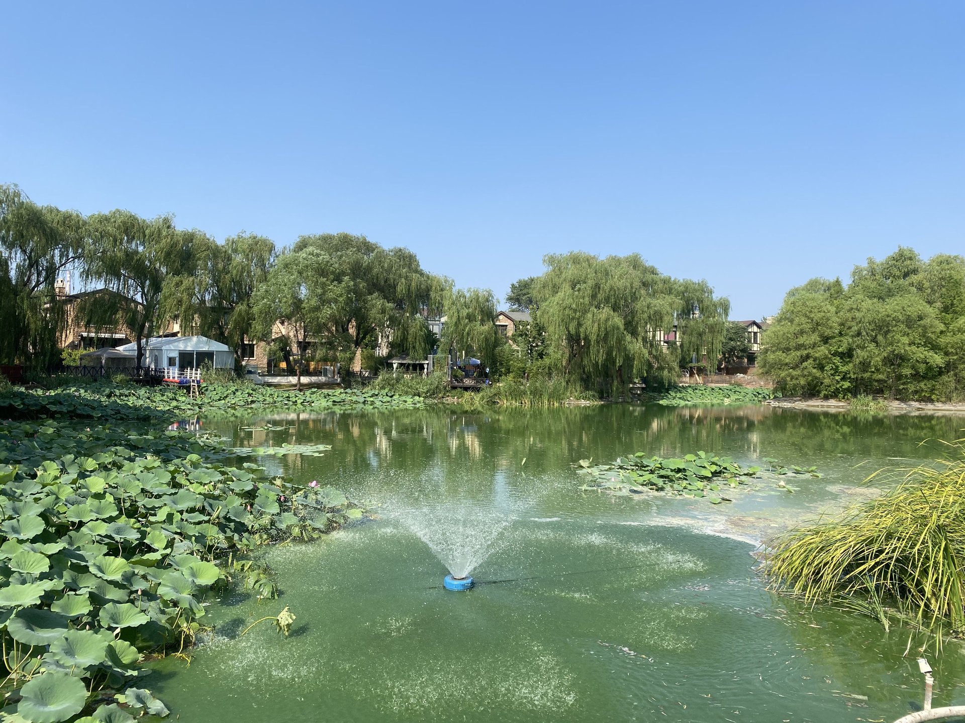 CBD国际高尔夫别墅 - Beijing property leasing for expats