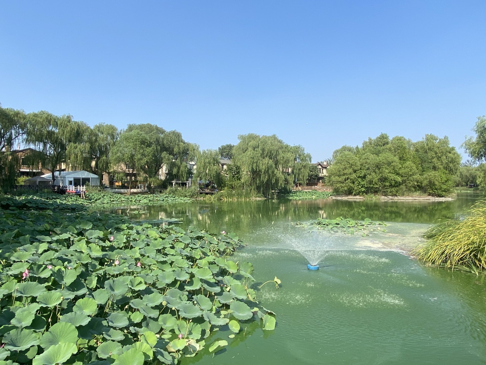 CBD国际高尔夫别墅 - Beijing property leasing for expats