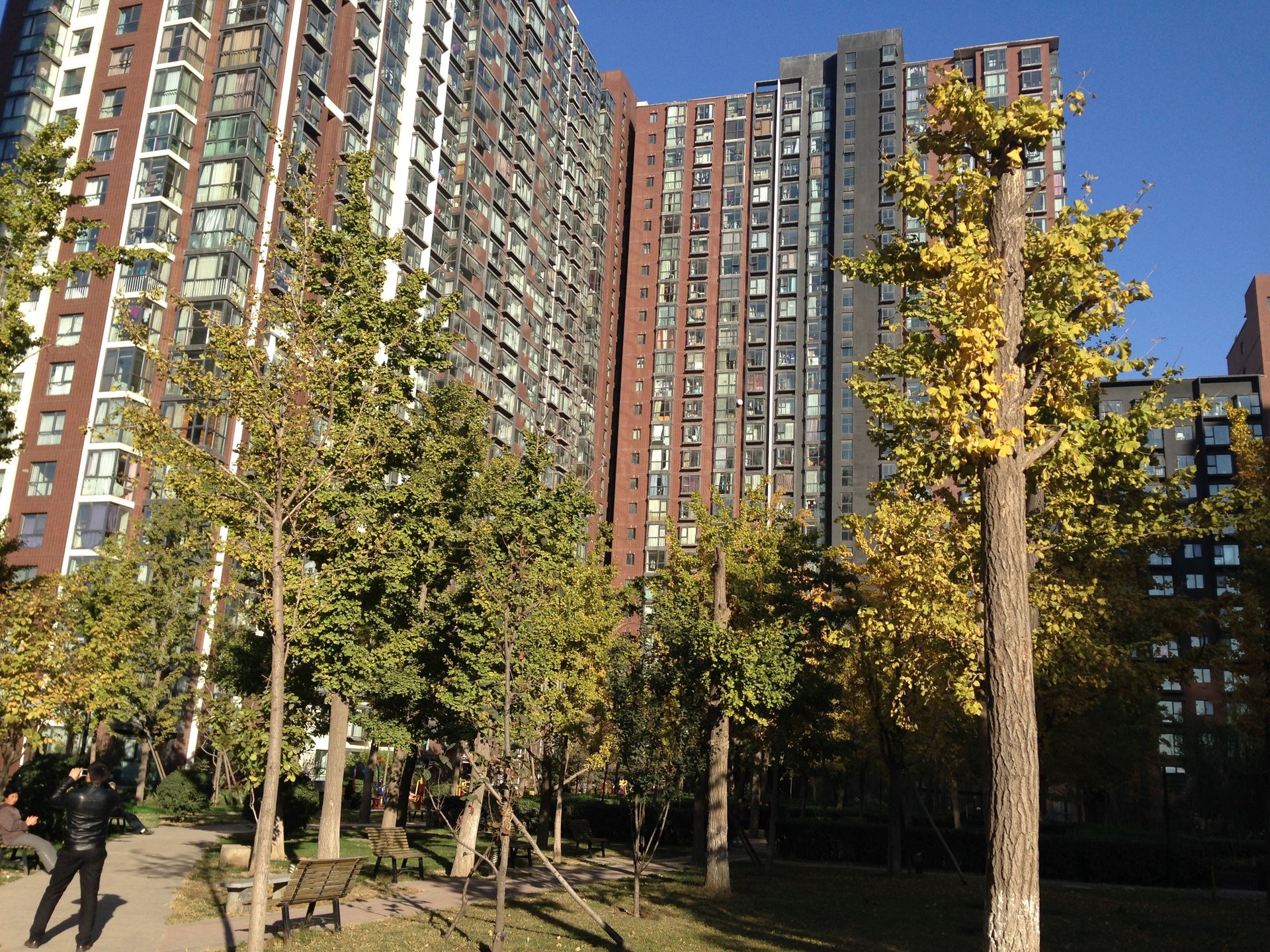 澳洲康都 - Beijing property leasing for expats