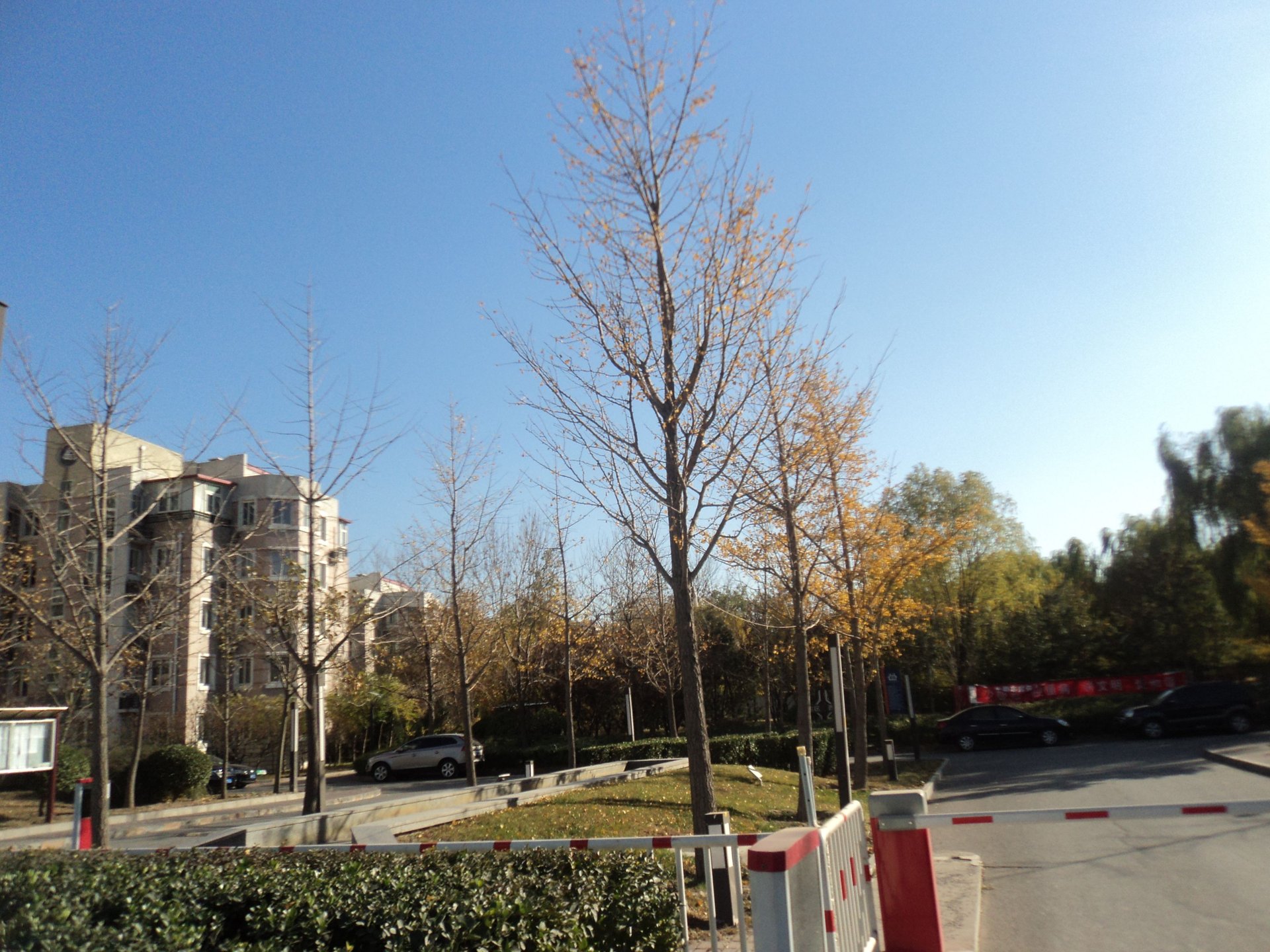 百旺家苑 - Beijing property leasing for expats