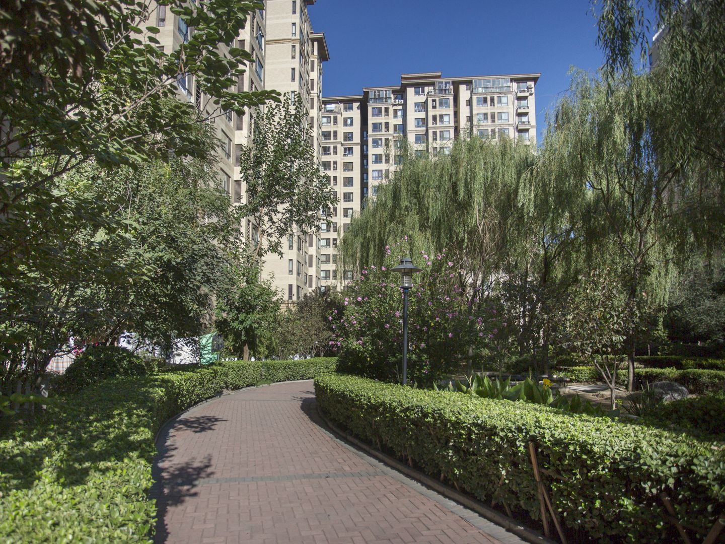 保利蔷薇 - Beijing property leasing for expats