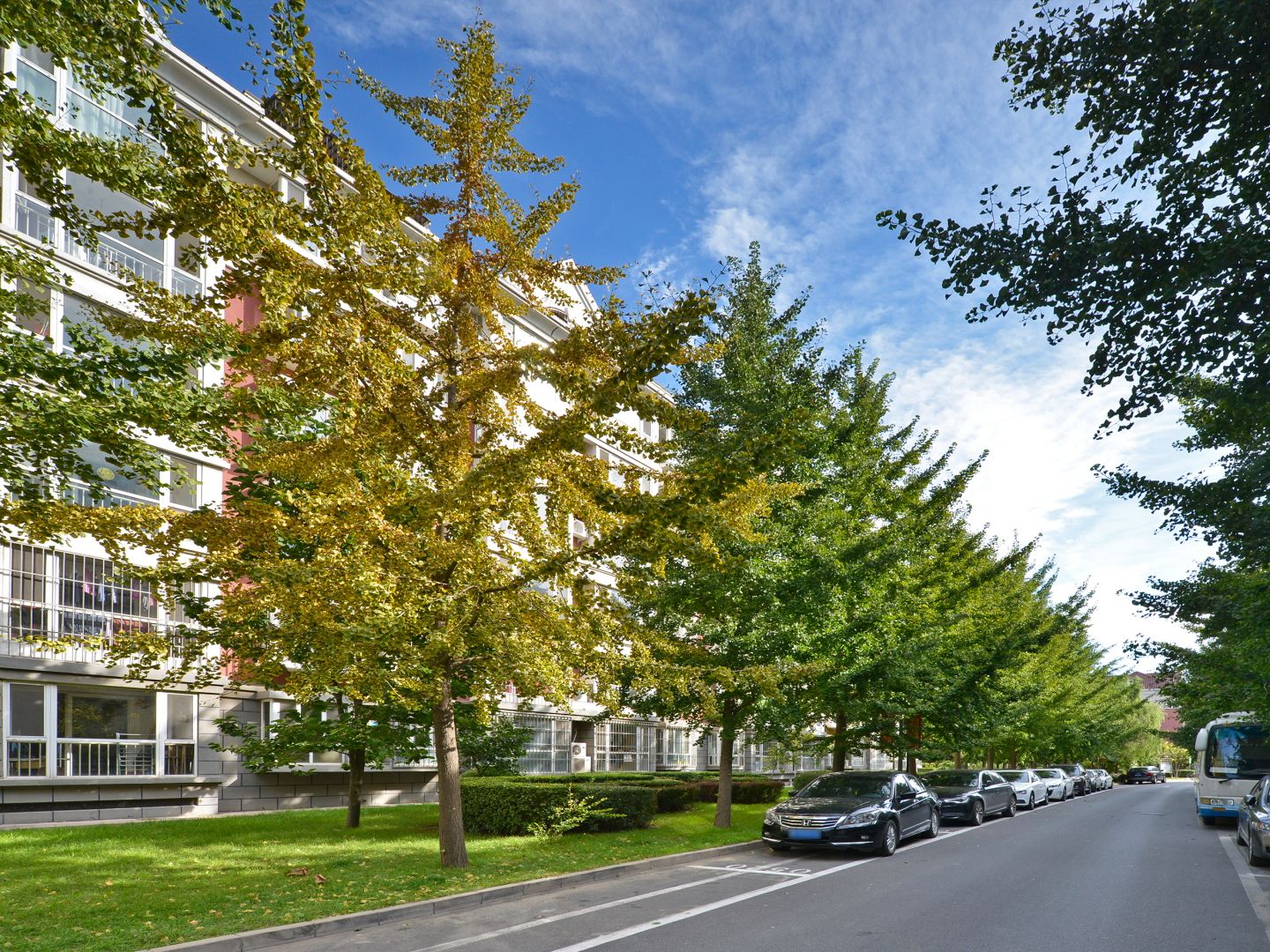 北店嘉园 - Beijing property leasing for expats