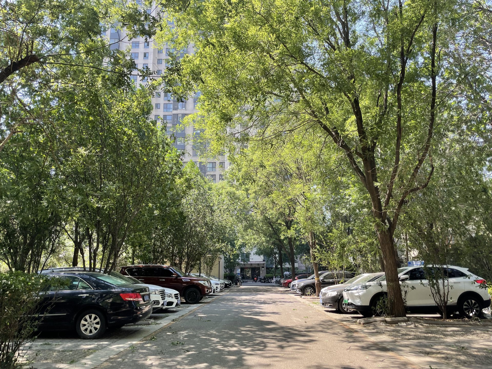 北京新天地一期 - Beijing property leasing for expats