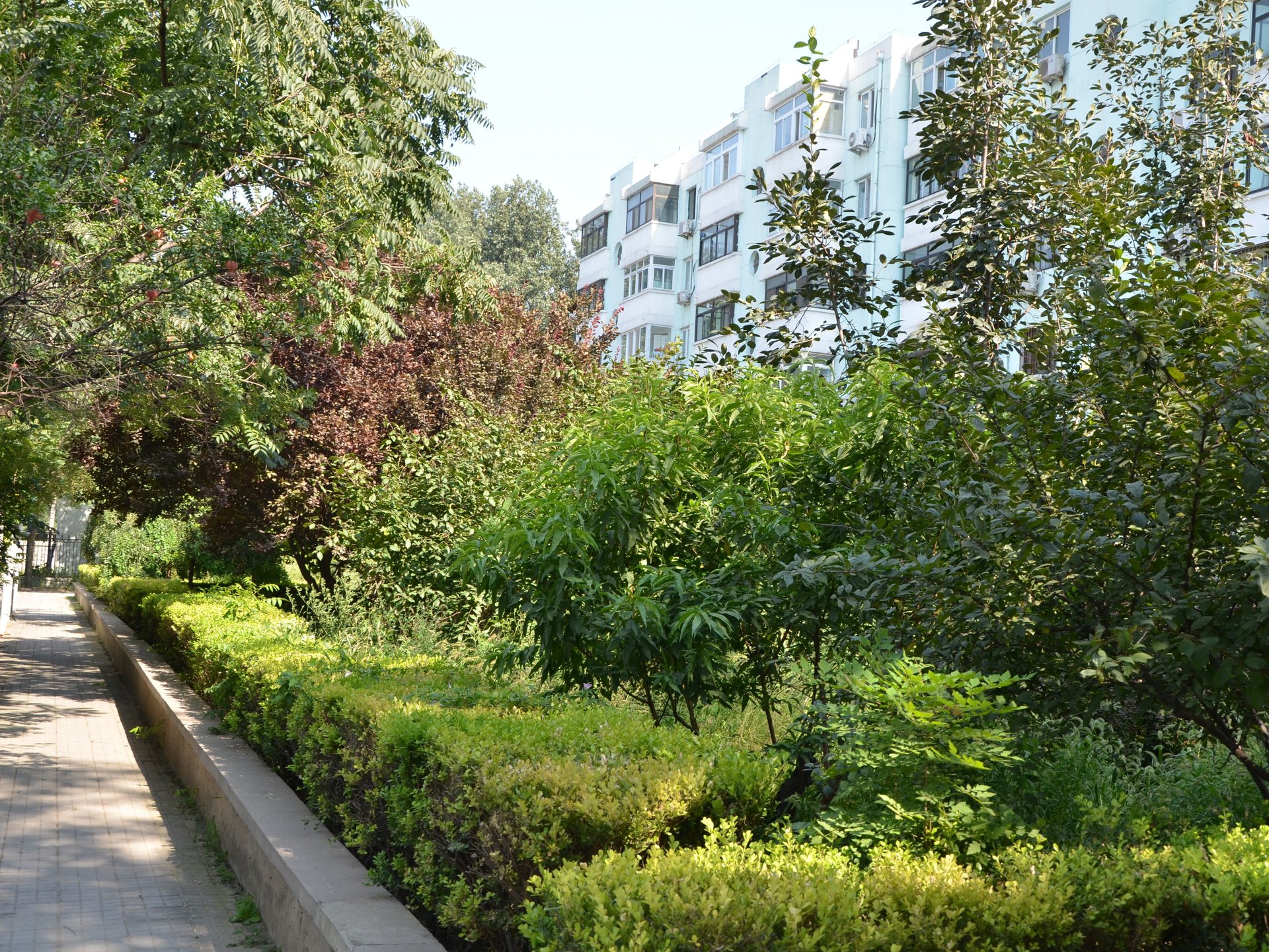 畅春园 - Beijing property leasing for expats