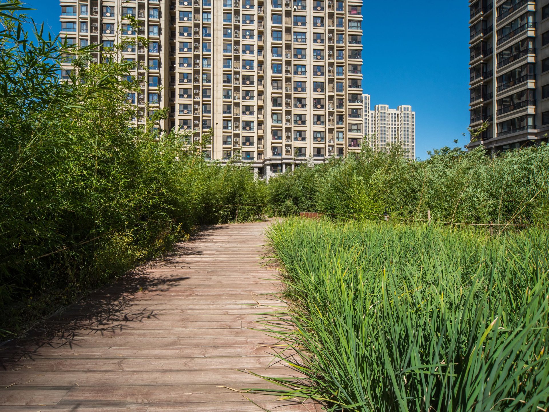 常楹公元 - Beijing property leasing for expats