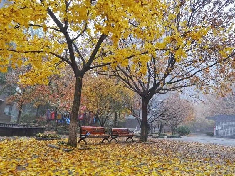 诚品建筑 - Beijing property leasing for expats