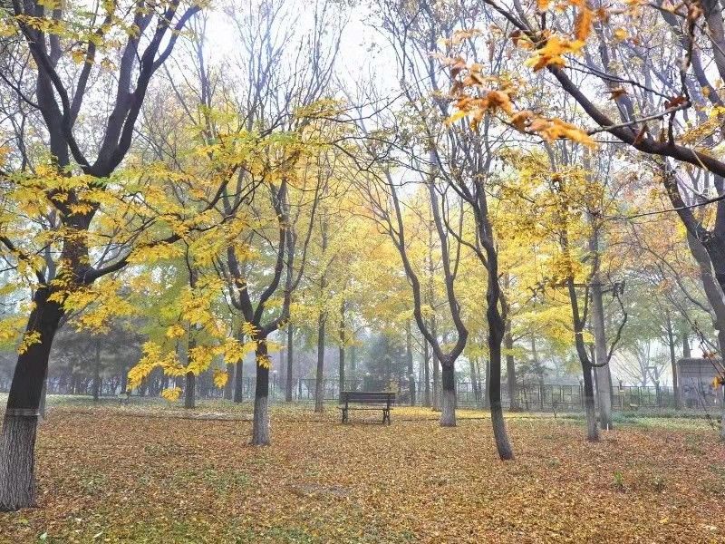 诚品建筑 - Beijing property leasing for expats