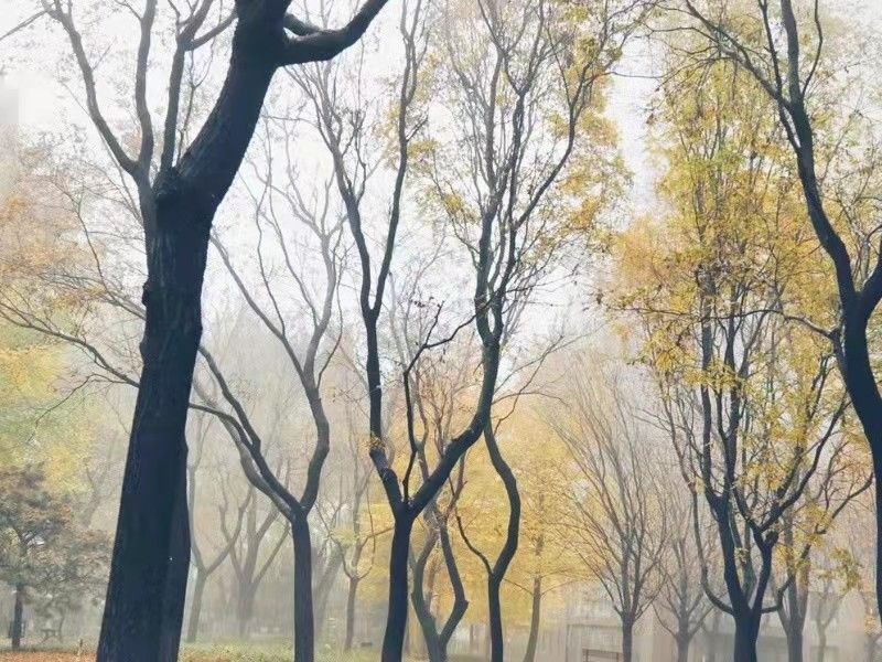 诚品建筑 - Beijing property leasing for expats