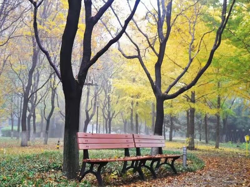 诚品建筑 - Beijing property leasing for expats