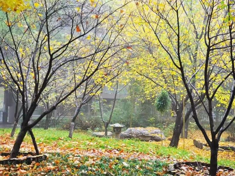 诚品建筑 - Beijing property leasing for expats