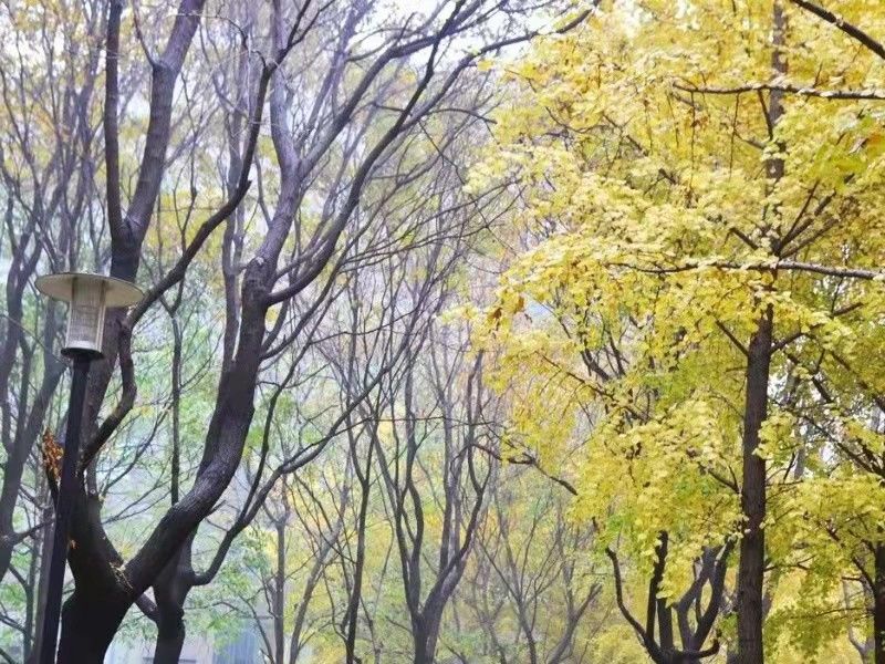 诚品建筑 - Beijing property leasing for expats