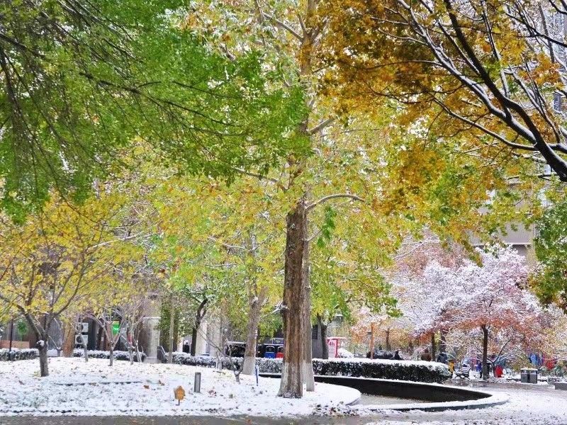 诚品建筑 - Beijing property leasing for expats