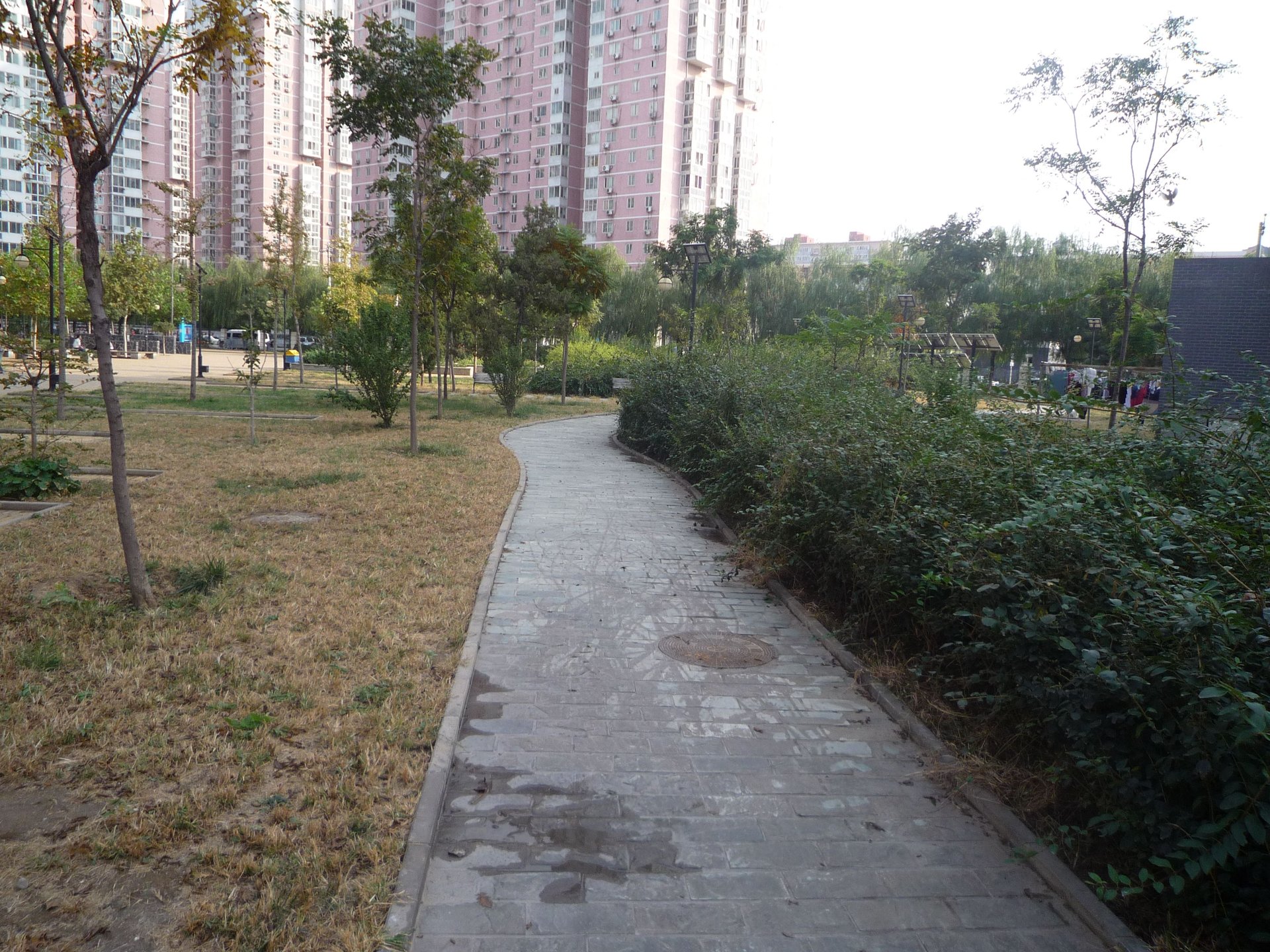 Chenguang Jiayuan Area A - beijing expat housing photo 7