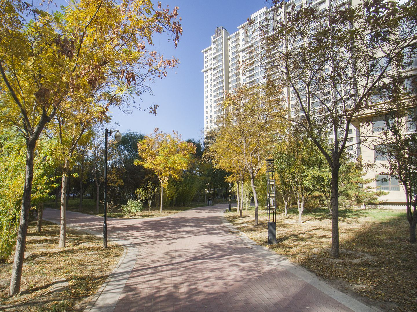 晨光家园C区 - Beijing property leasing for expats