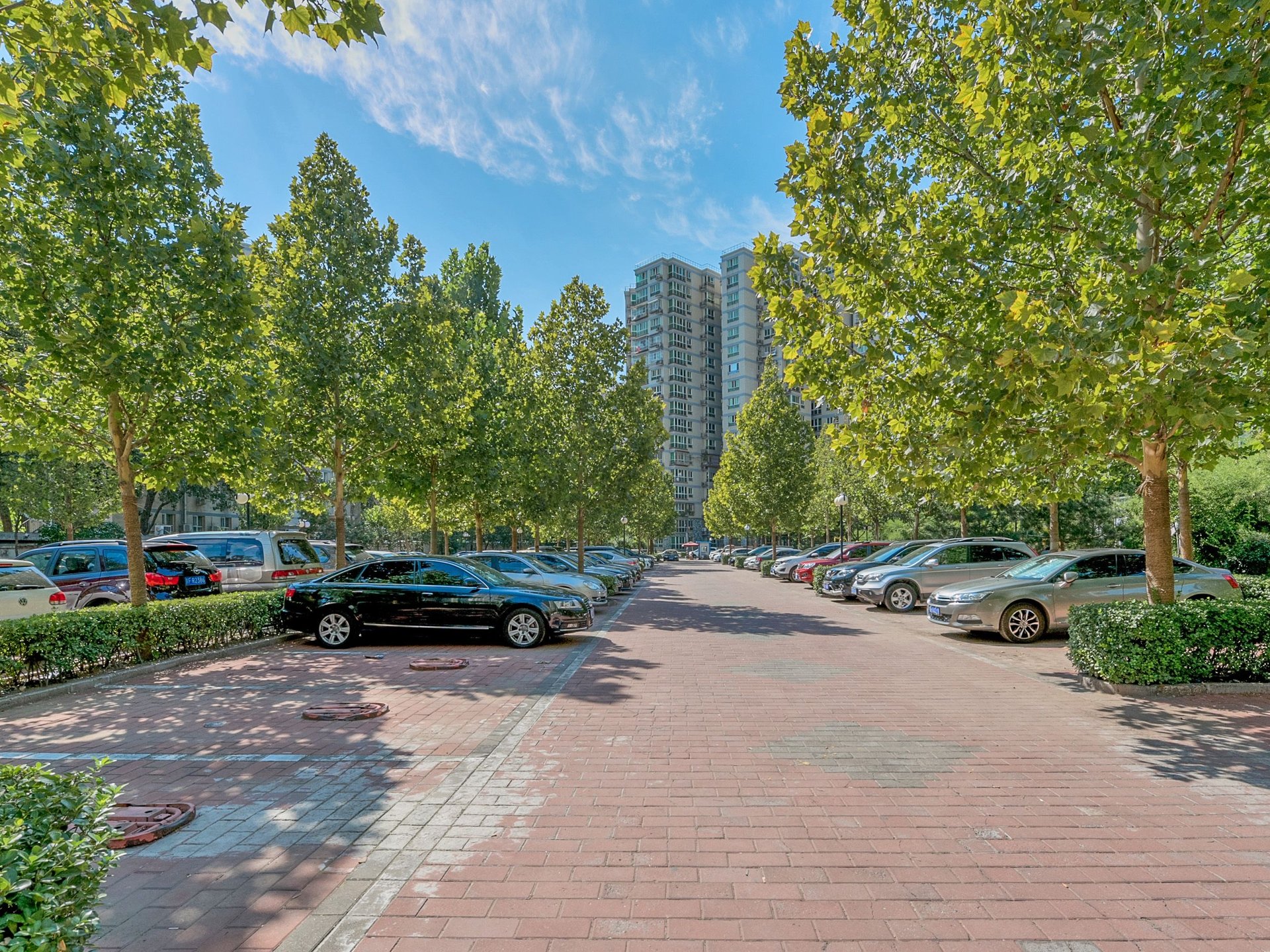 晨月园 - Beijing property leasing for expats