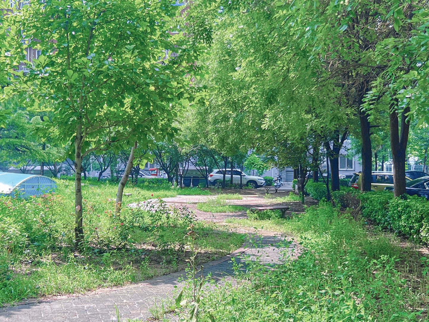 Ciqu Beili Sanqu - beijing expat housing photo 3