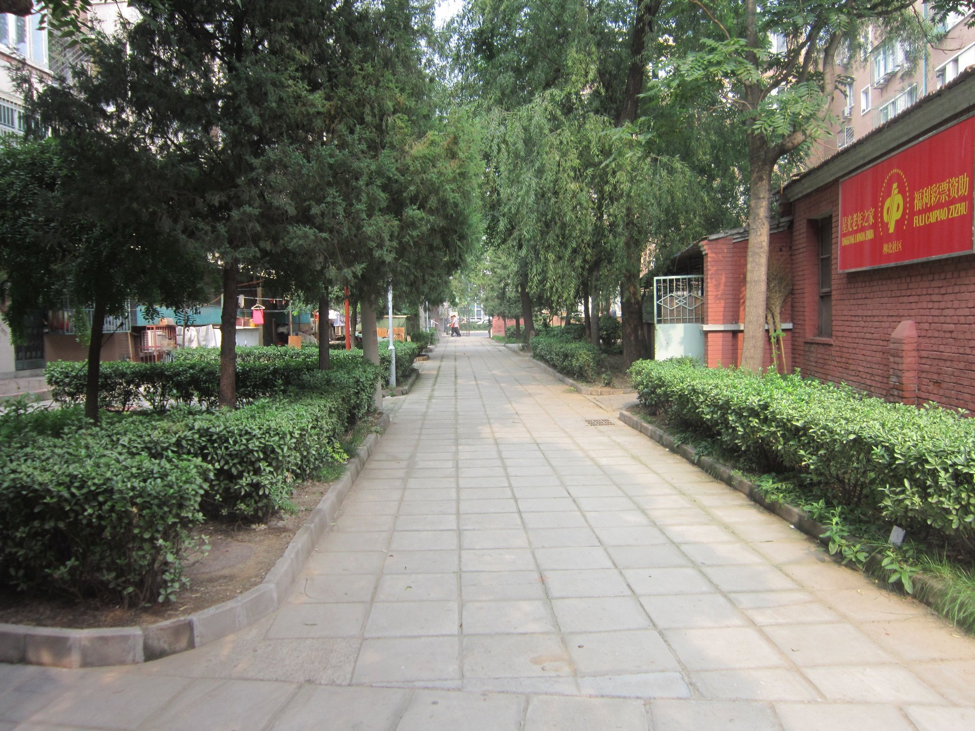 大柳树5号院 - Beijing property leasing for expats