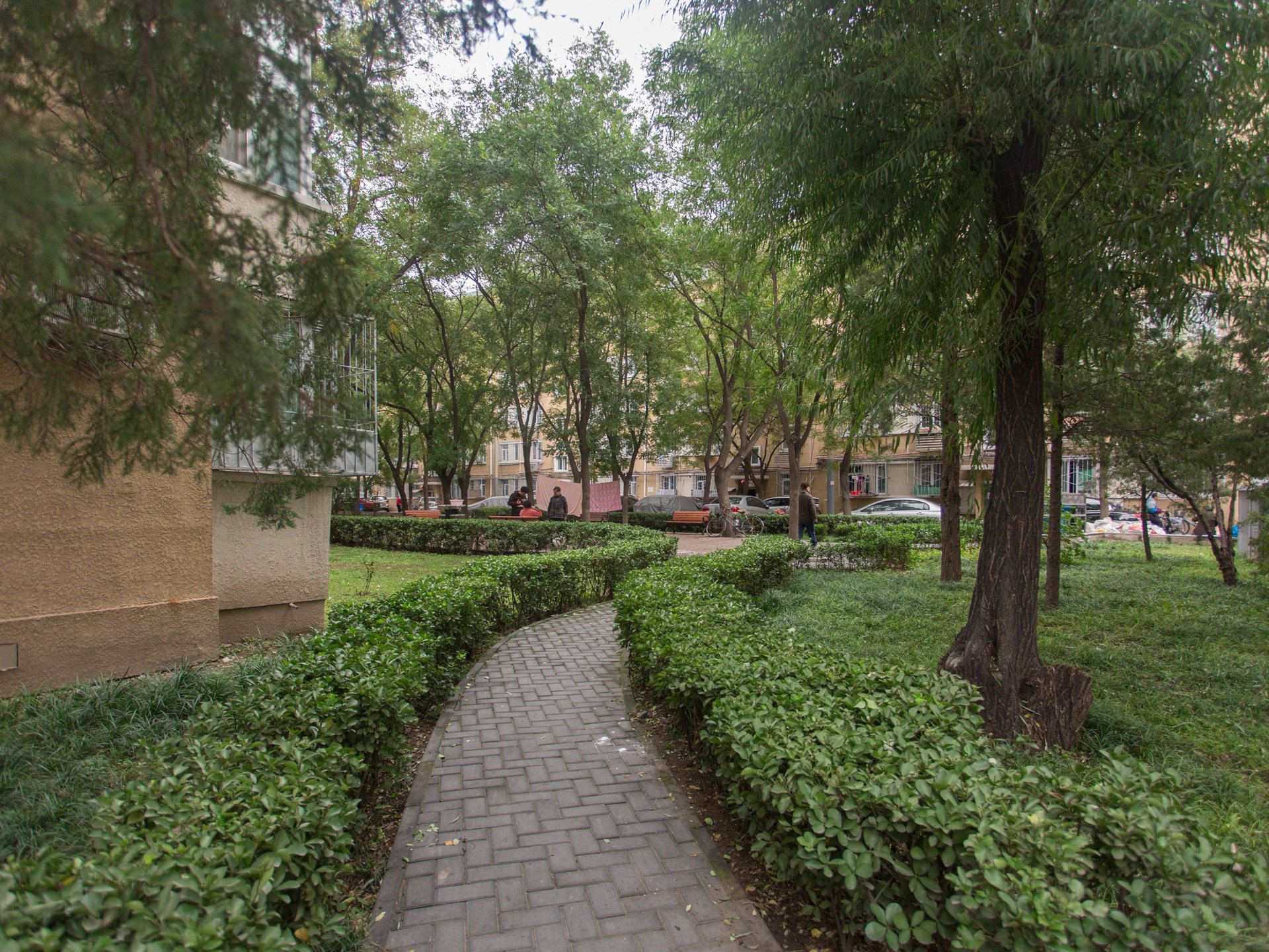 稻香园 - Beijing property leasing for expats