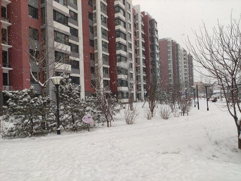 Diecuitingyuan Phase I - beijing expat housing photo 13