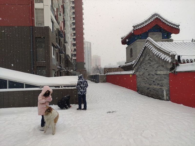 Diecuitingyuan Phase I - beijing expat housing photo 8