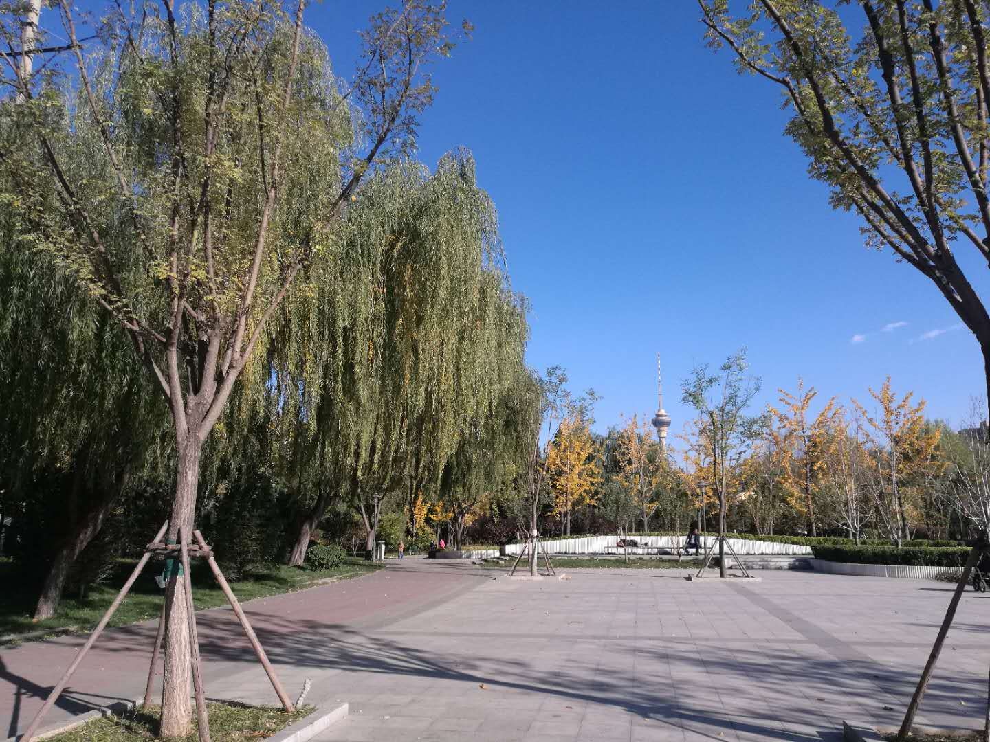 定慧东里 - Beijing property leasing for expats