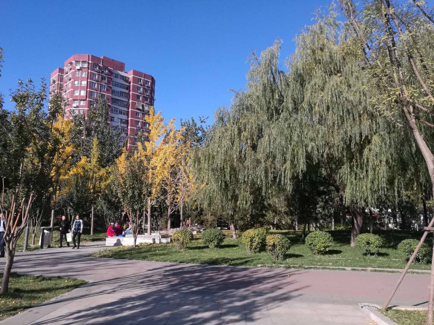 定慧东里 - Beijing property leasing for expats