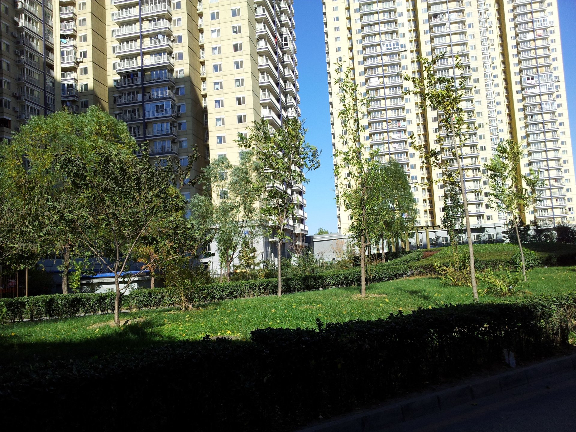 顶秀青溪 - Beijing property leasing for expats