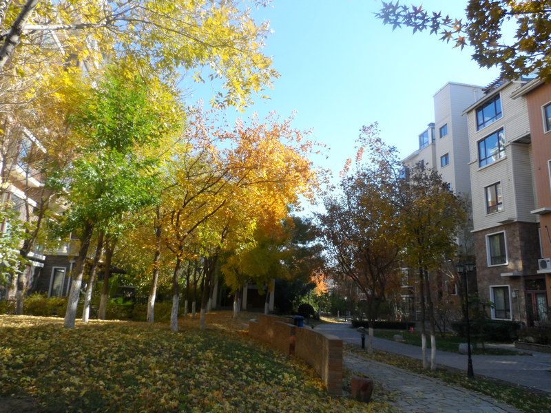 顶秀青溪 - Beijing property leasing for expats