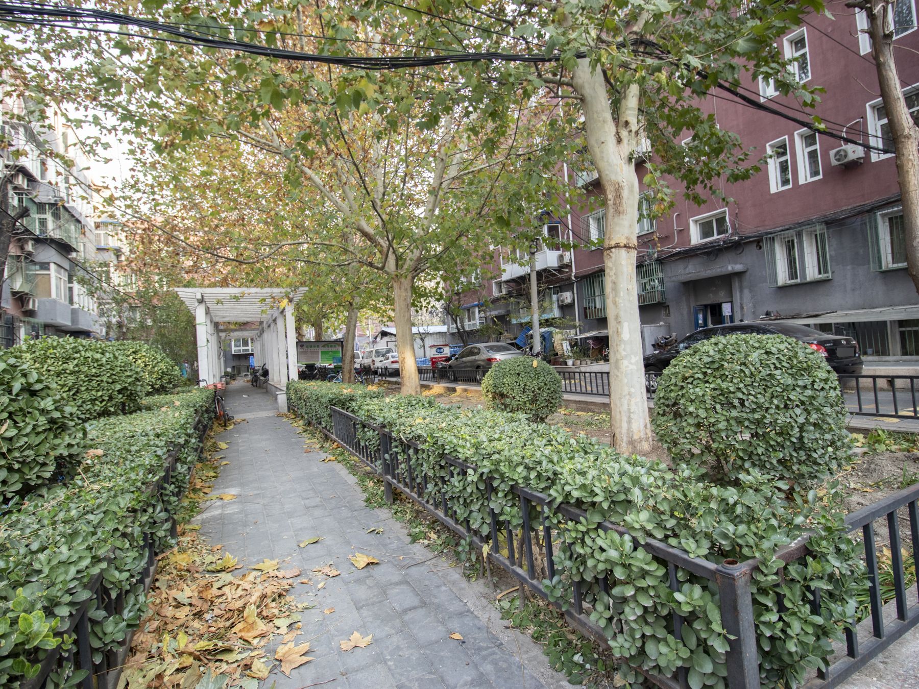 Dongdaqiao Dongli - beijing expat housing photo 12