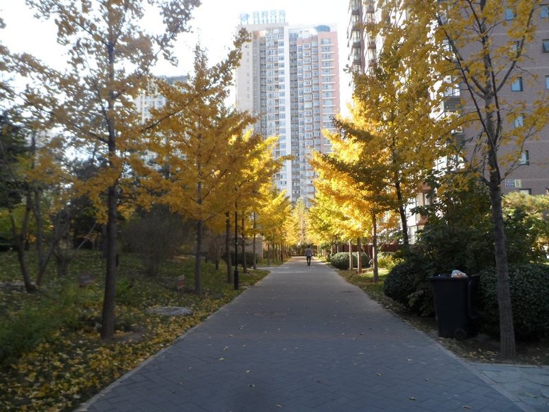 东恒时代二期 - Beijing property leasing for expats