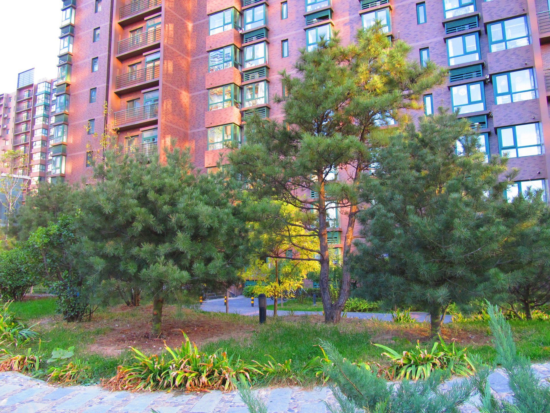 东恒时代一期 - Beijing property leasing for expats