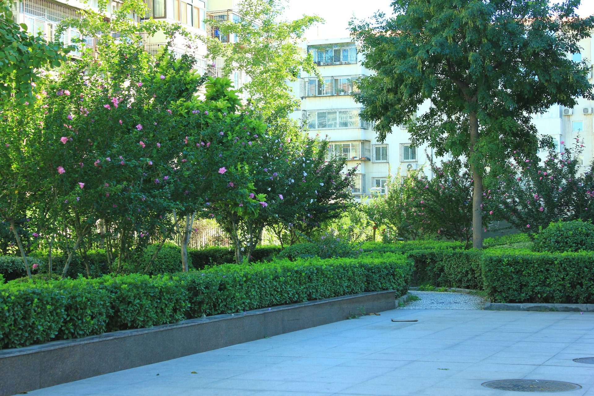 东花市北里西区 - Beijing property leasing for expats