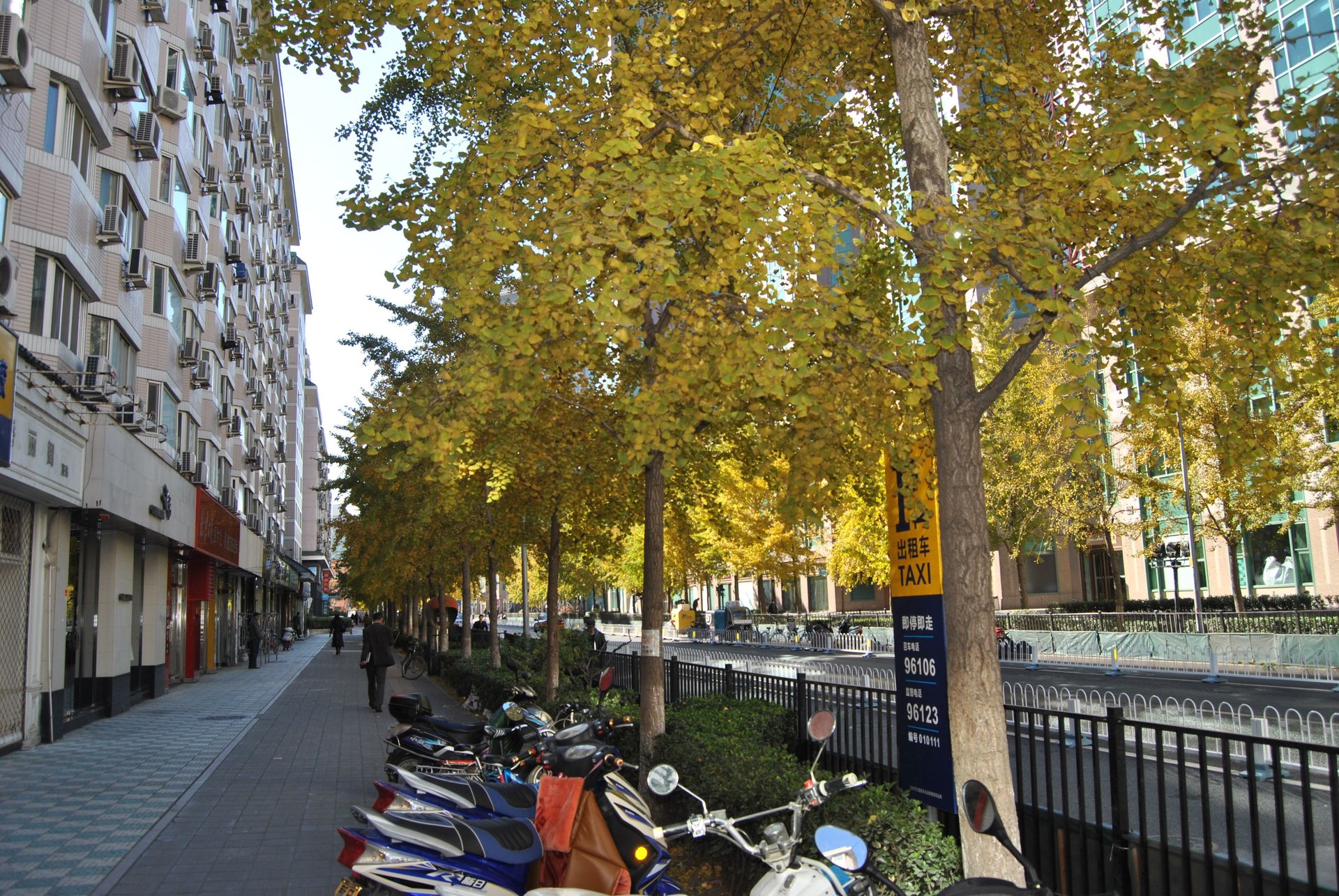 东直门南大街 - Beijing property leasing for expats