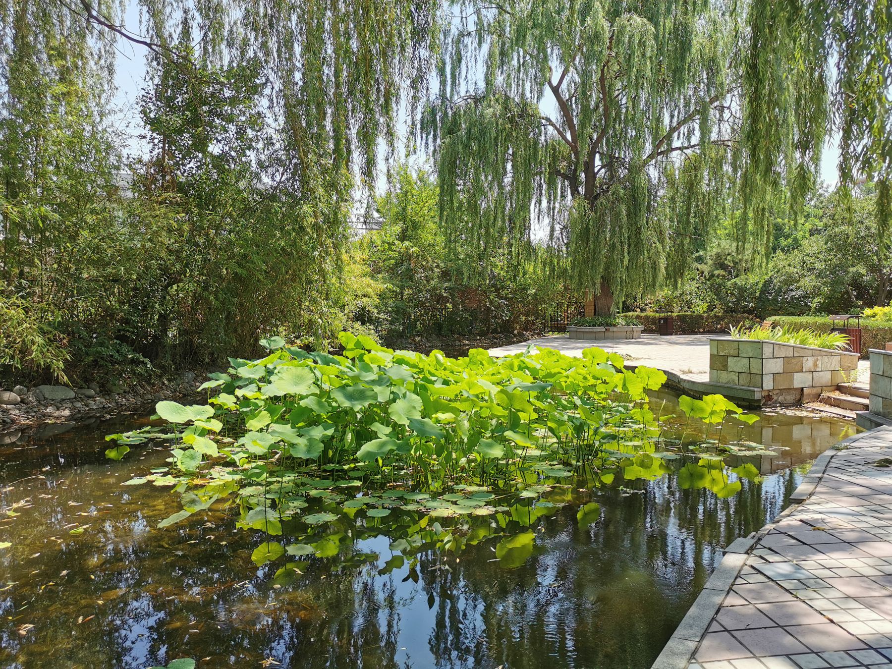 独墅逸致 - Beijing property leasing for expats