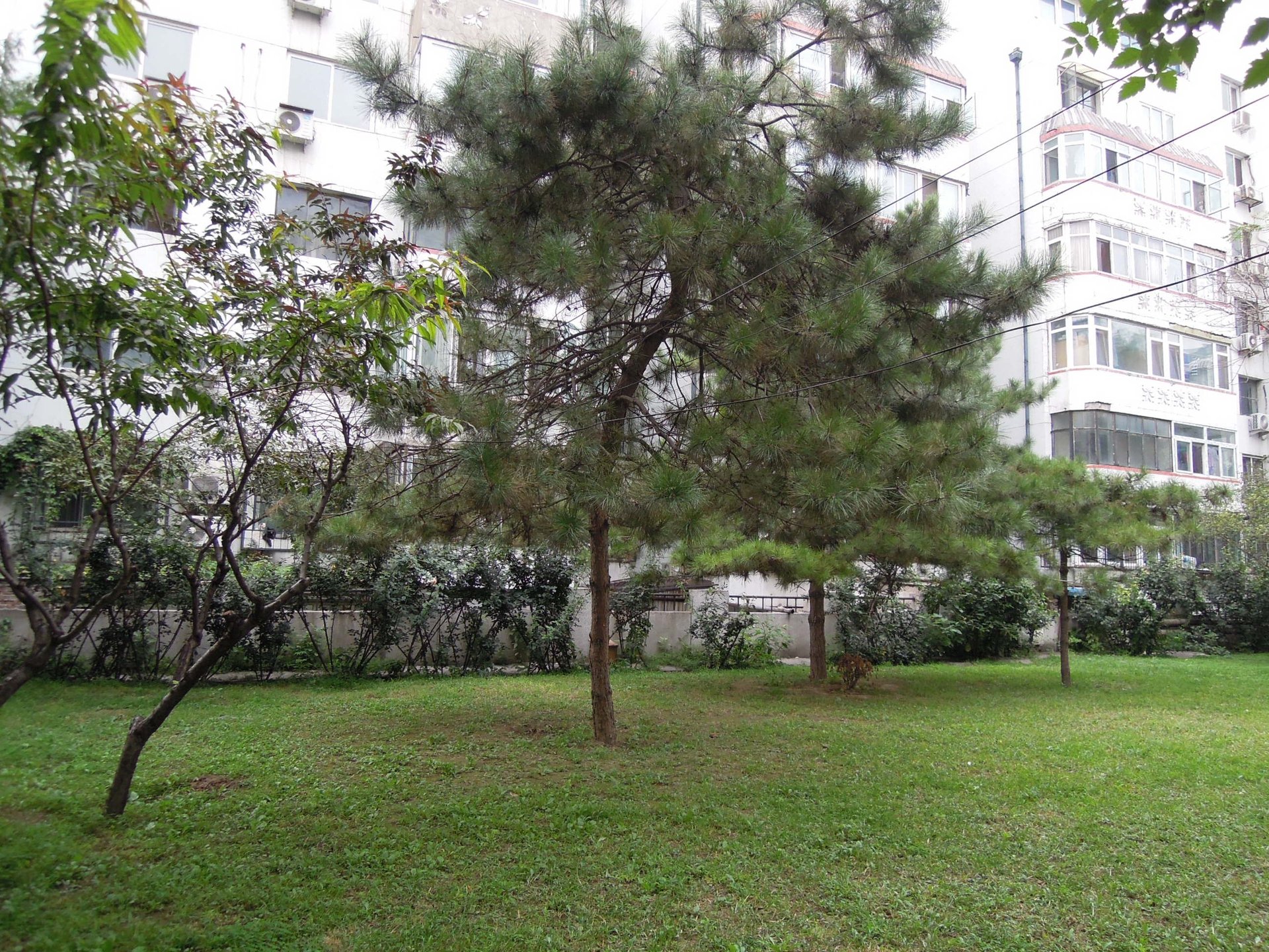 法华南里 - Beijing property leasing for expats