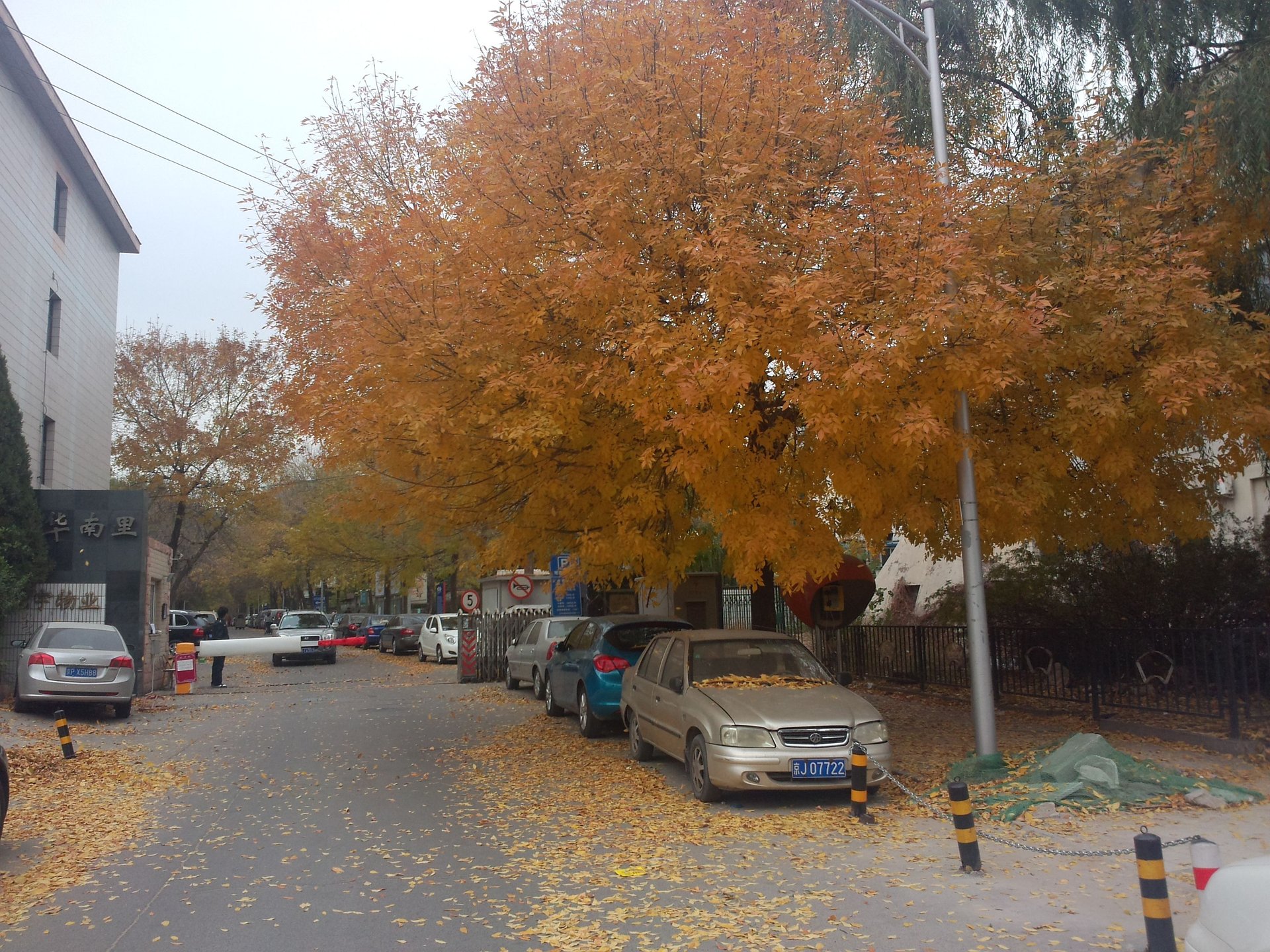 法华南里 - Beijing property leasing for expats