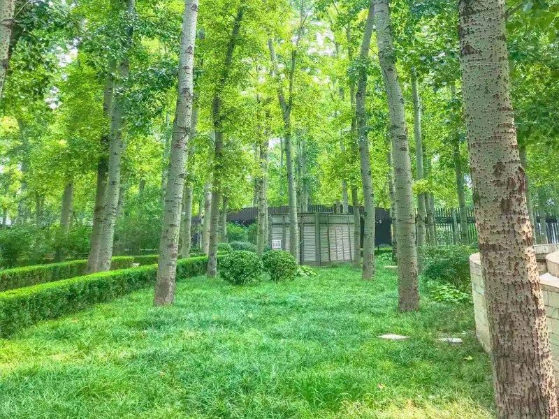 凤凰城三期 - Beijing property leasing for expats