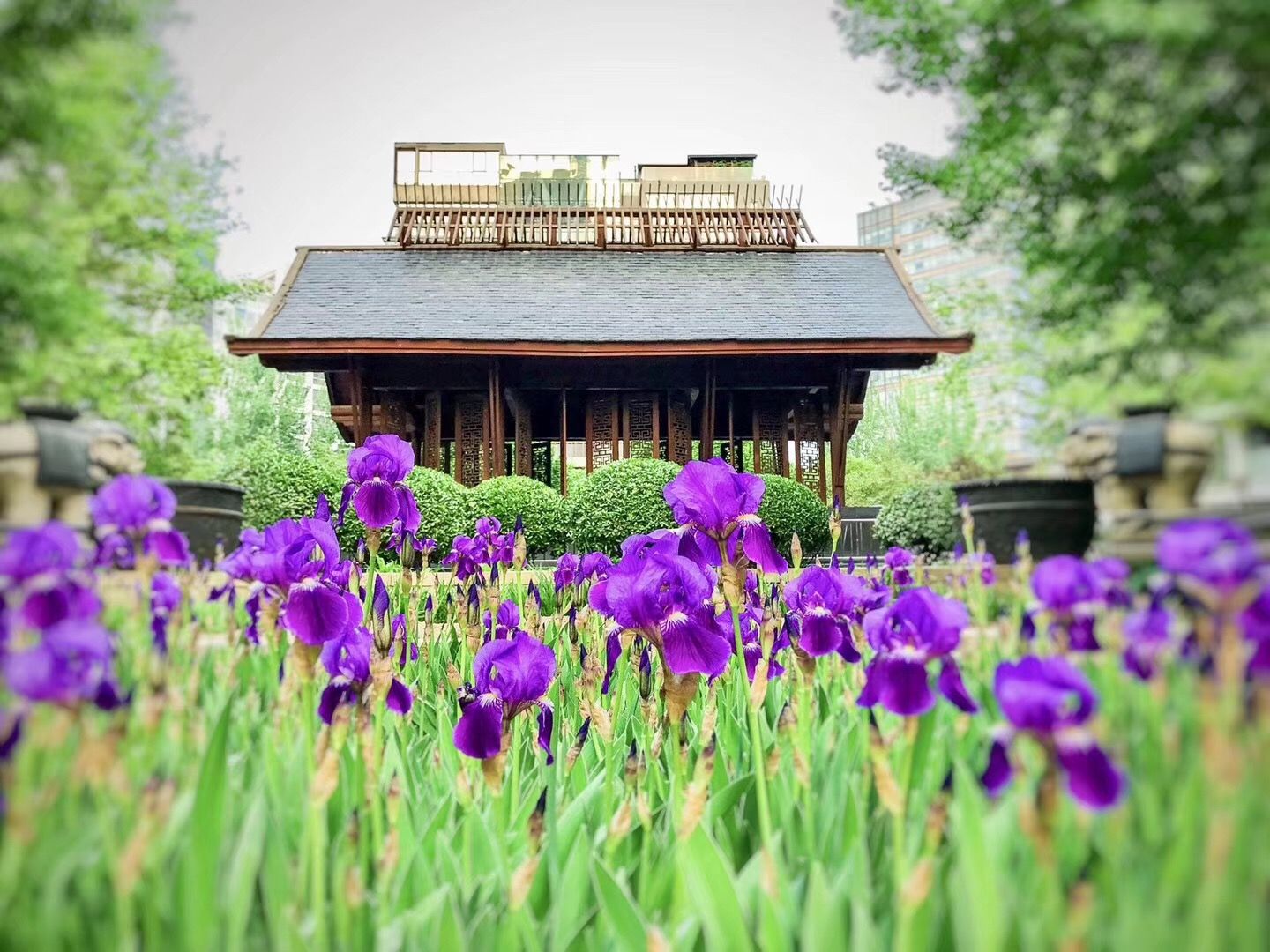 凤凰城三期 - Beijing property leasing for expats