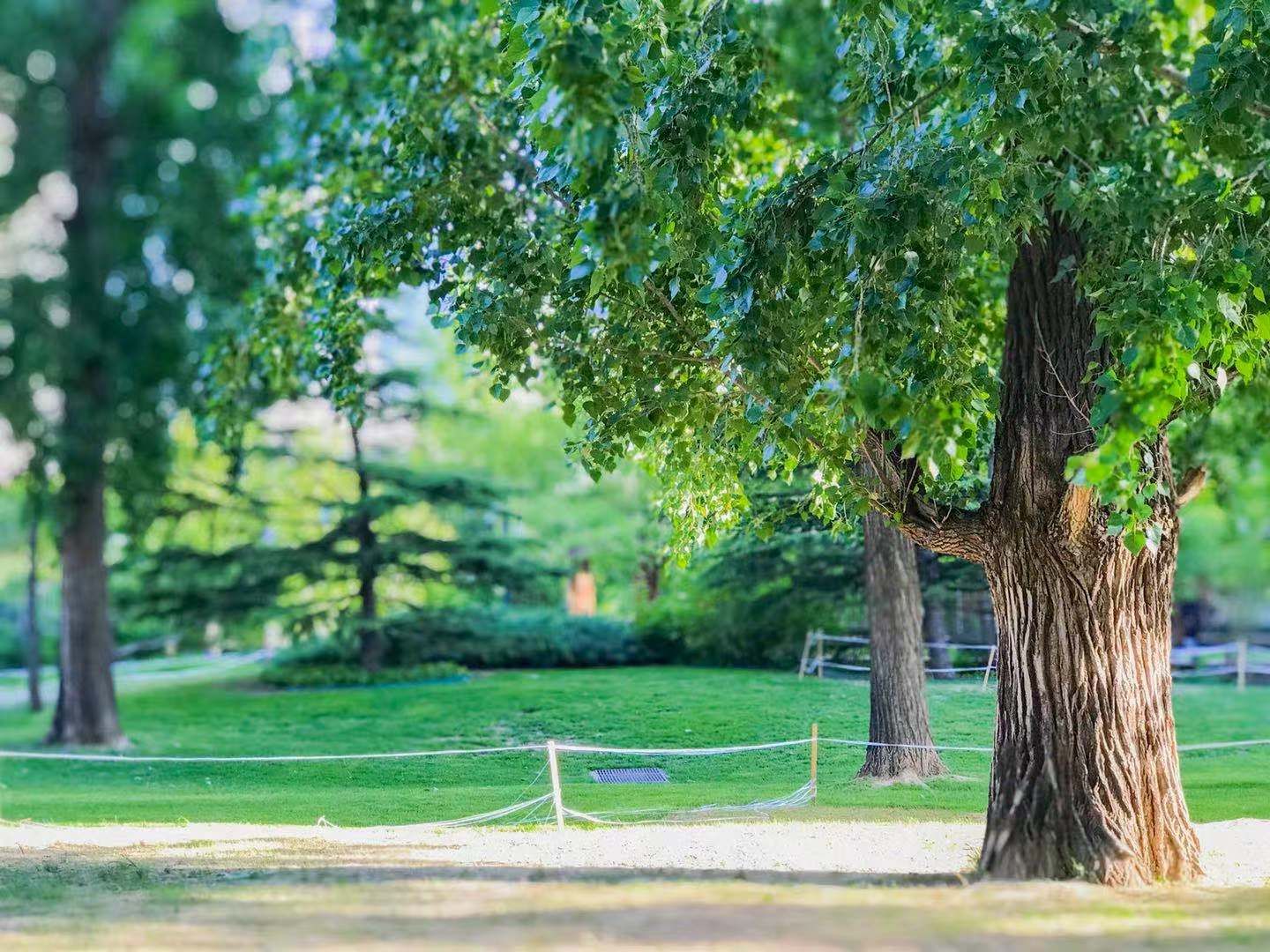 凤凰城三期 - Beijing property leasing for expats