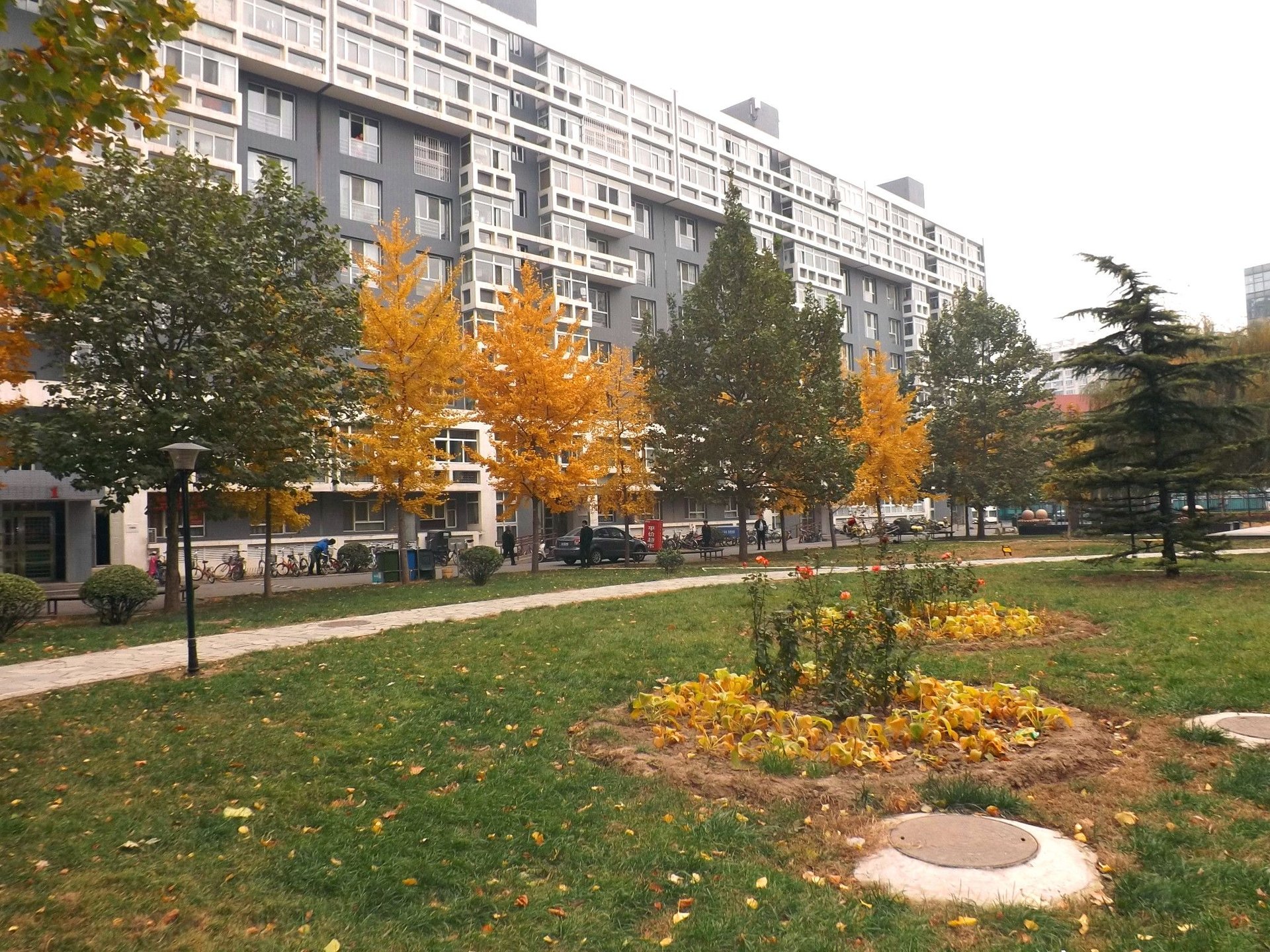 蜂鸟家园 - Beijing property leasing for expats