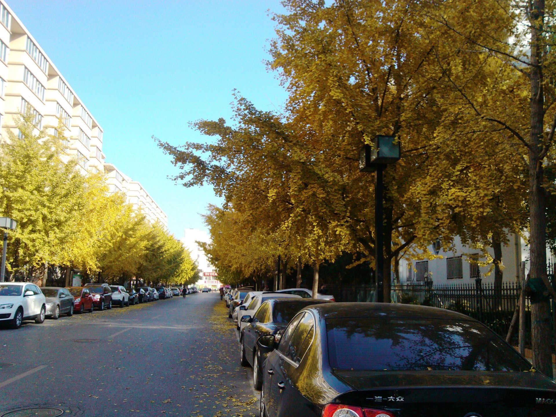 丰融园 - Beijing property leasing for expats