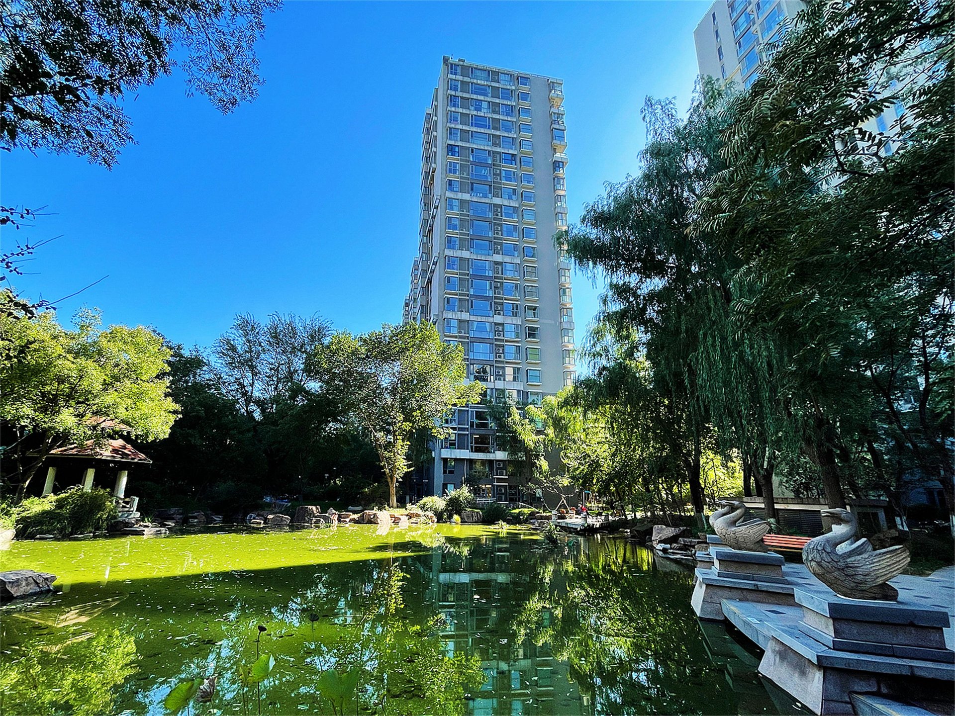 富力城D区 - Beijing property leasing for expats