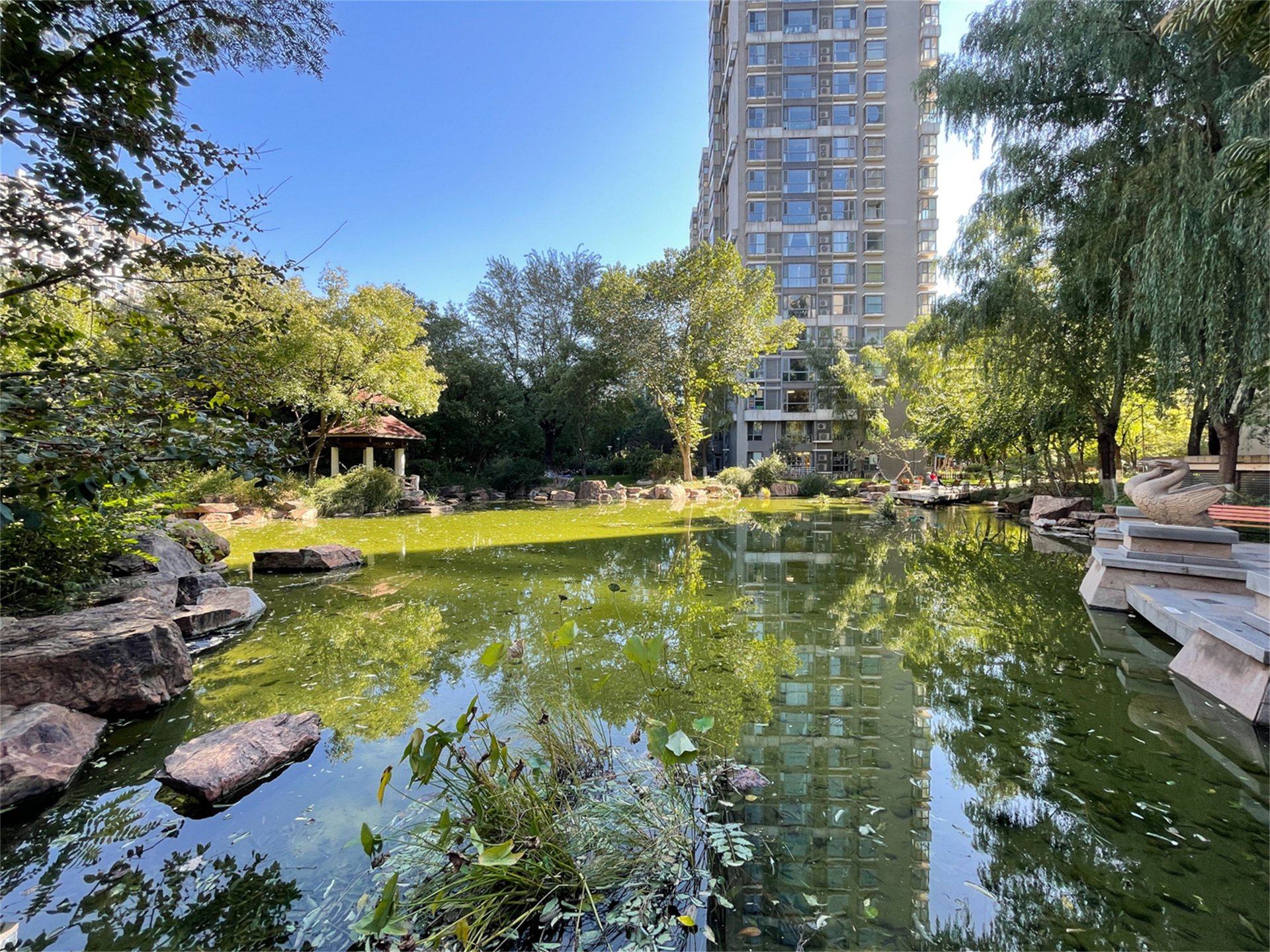 富力城D区 - Beijing property leasing for expats