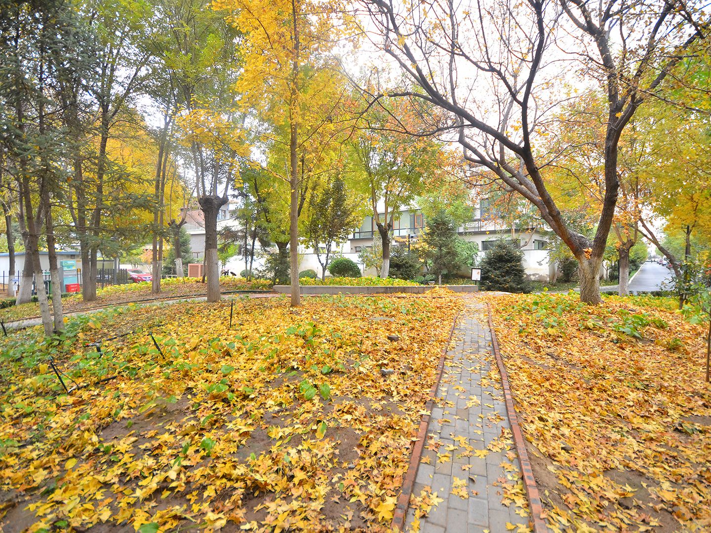 R&F Bay - beijing expat housing photo 11