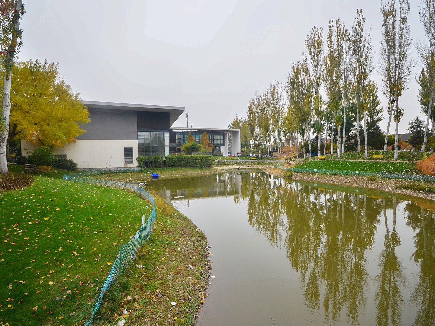 R&F Bay - beijing expat housing photo 14