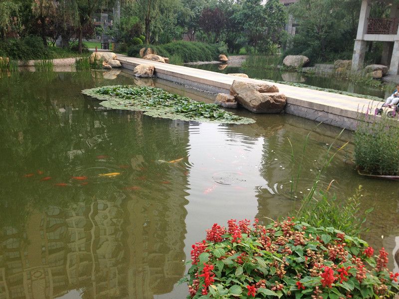 富力又一城C区 - Beijing property leasing for expats