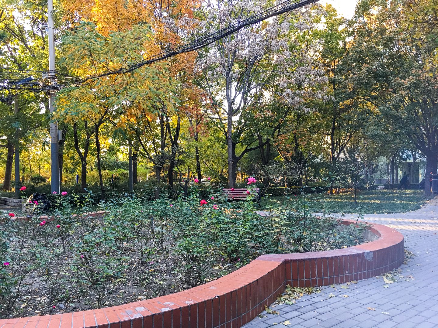 芙蓉里 - Beijing property leasing for expats