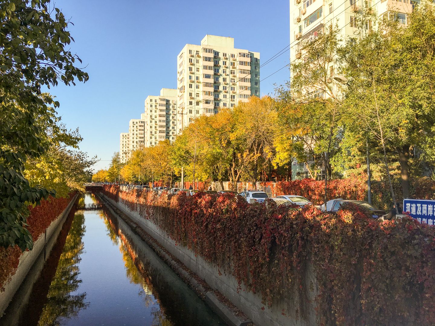 芙蓉里 - Beijing property leasing for expats